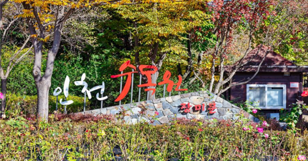 ▲인천대공원내 인천수목원 모습. 